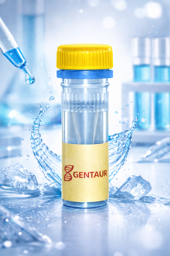 [SK1650] Nicotinamide Adenine Dinucleotide (NAD)